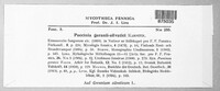 Puccinia geranii-silvatici image